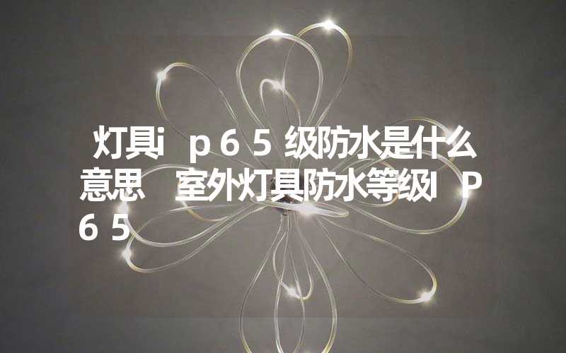 灯具ip65级防水是什么意思 室外灯具防水等级IP65